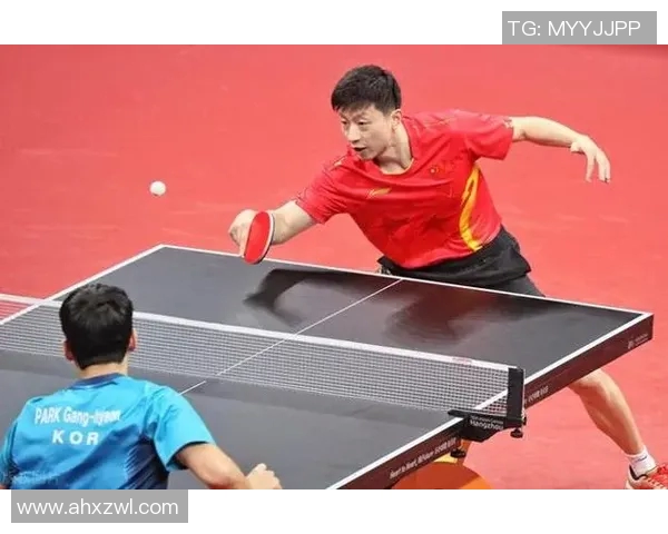 武汉乒乓球队个人能力排名创新高引发广泛关注与讨论