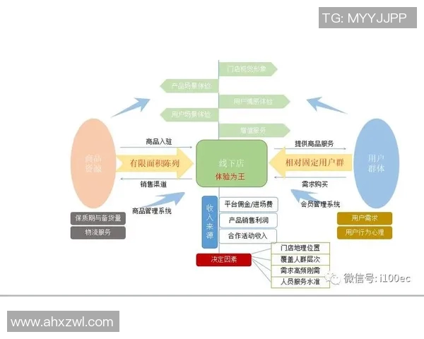 探索Vs利华古逊的市场策略与竞争优势分析
